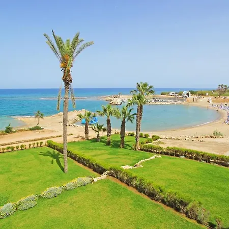 Lily プロタラス